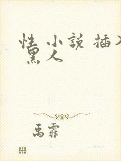 性 小说 插入 黑人