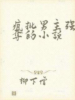 疯批男主强取豪夺的小说封面