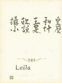 摄政王和皇上的小说是什么