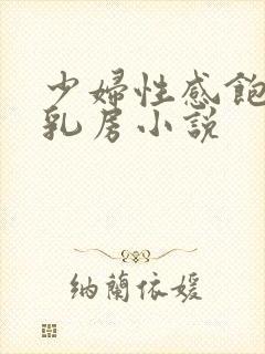 少妇性感饱满的乳房小说封面