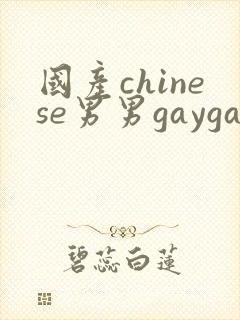 国产chinese男男gaygay 网站封面