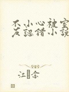 不小心被室友男友认错小说