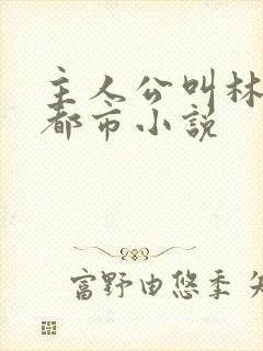 主人公叫林萧的都市小说