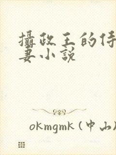 摄政王的侍爱逃妻小说封面