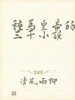 种马皇帝的后宫三千小说