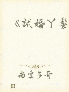 《试婚丫鬟》