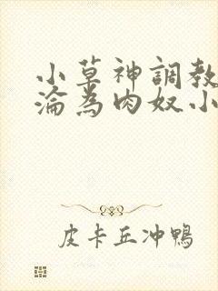 小草神调教喷水沦为肉奴小说