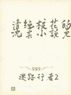 清纯校花的日常沈柔小说免费阅读封面