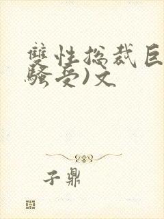 双性总裁巨乳(骚受)文