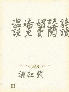 温娇媚陆辞安小说免费阅读最新章节