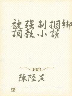 被强制捆绑折磨调教小说