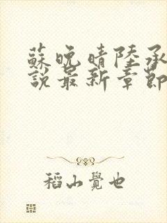 苏晚晴陆承骁小说最新章节更新内容