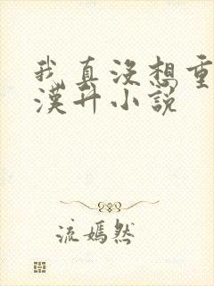 我真没想重生陈汉升小说