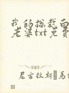 我的总裁白富美老婆txt免费下载