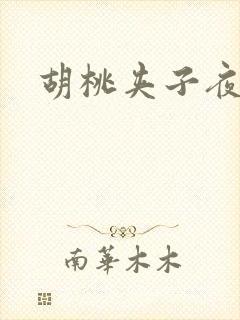 胡桃夹子夜未眠