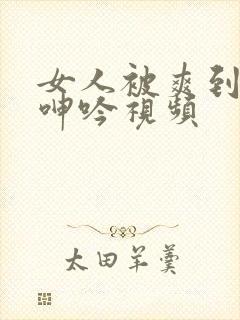 女人被爽到娇喘呻吟视频