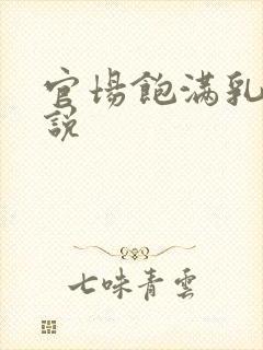 官场饱满乳房小说