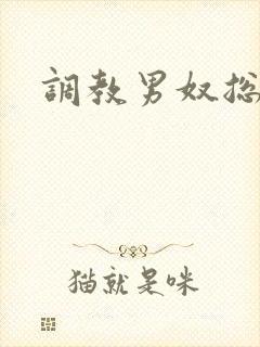 调教男奴总裁封面