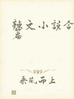 辣文小说合集短篇