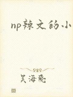np辣文的小说