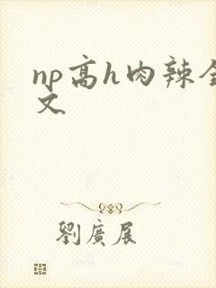 np高h肉辣全文