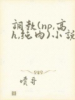 调教(np,高h,纯肉)小说