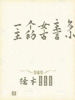 一个女主多个男主的古言小说封面