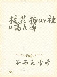 校花拍av被np高h薄