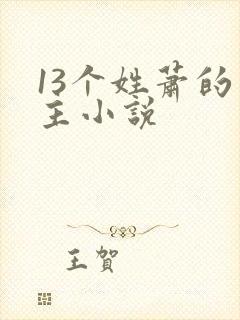 13个姓萧的男主小说