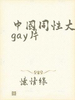 中国同性大尺度gay片封面