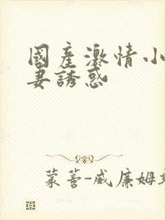 国产激情小说人妻诱惑