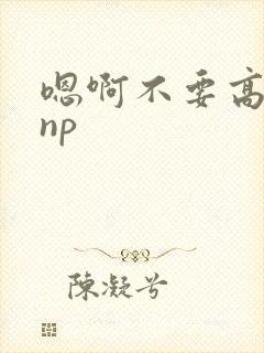 嗯啊不要高h np