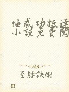 他成功抵达花心小说免费阅读全文