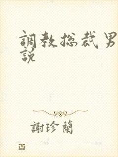 调教总裁男男小说