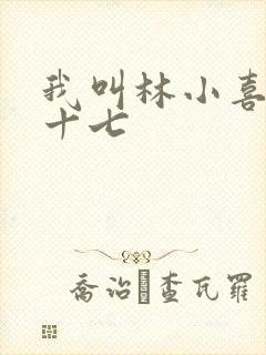 我叫林小喜今年十七