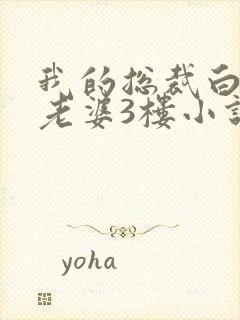 我的总裁白富美老婆3楼小说目录