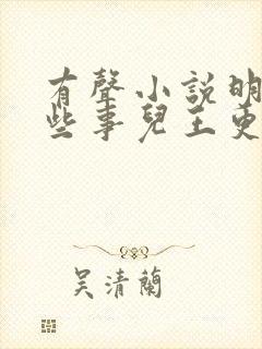 有声小说明朝那些事儿王更新免费音频封面