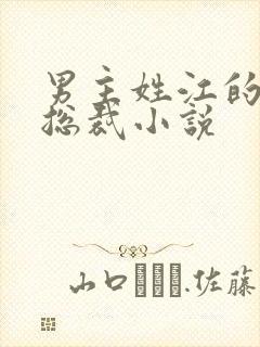 男主姓江的现代总裁小说