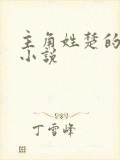 主角姓楚的兵王小说