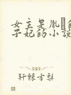 女主是胤礽的太子妃的小说