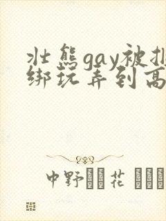 壮熊gay被捆绑玩弄到高潮
