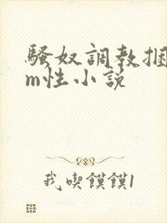 骚奴调教捆绑sm性小说封面