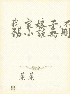 我家娘子,不对劲小说无删减