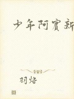 少年阿宾新崛江