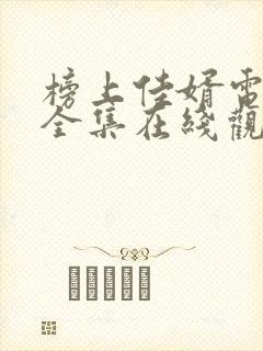 榜上佳婿电视剧全集在线观看完整版高清