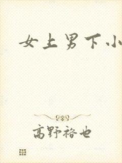 女上男下小说