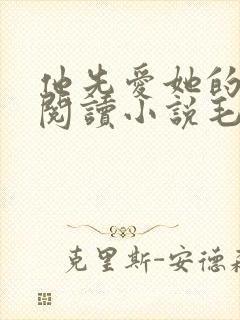 他先爱她的全文阅读小说毛吉