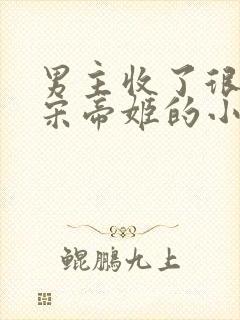 男主收了很多北宋帝姬的小说封面