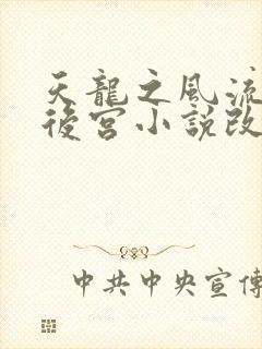 天龙之风流猎艳后宫小说改编自什么