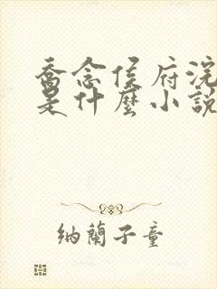 乔念侯府浣衣局是什么小说